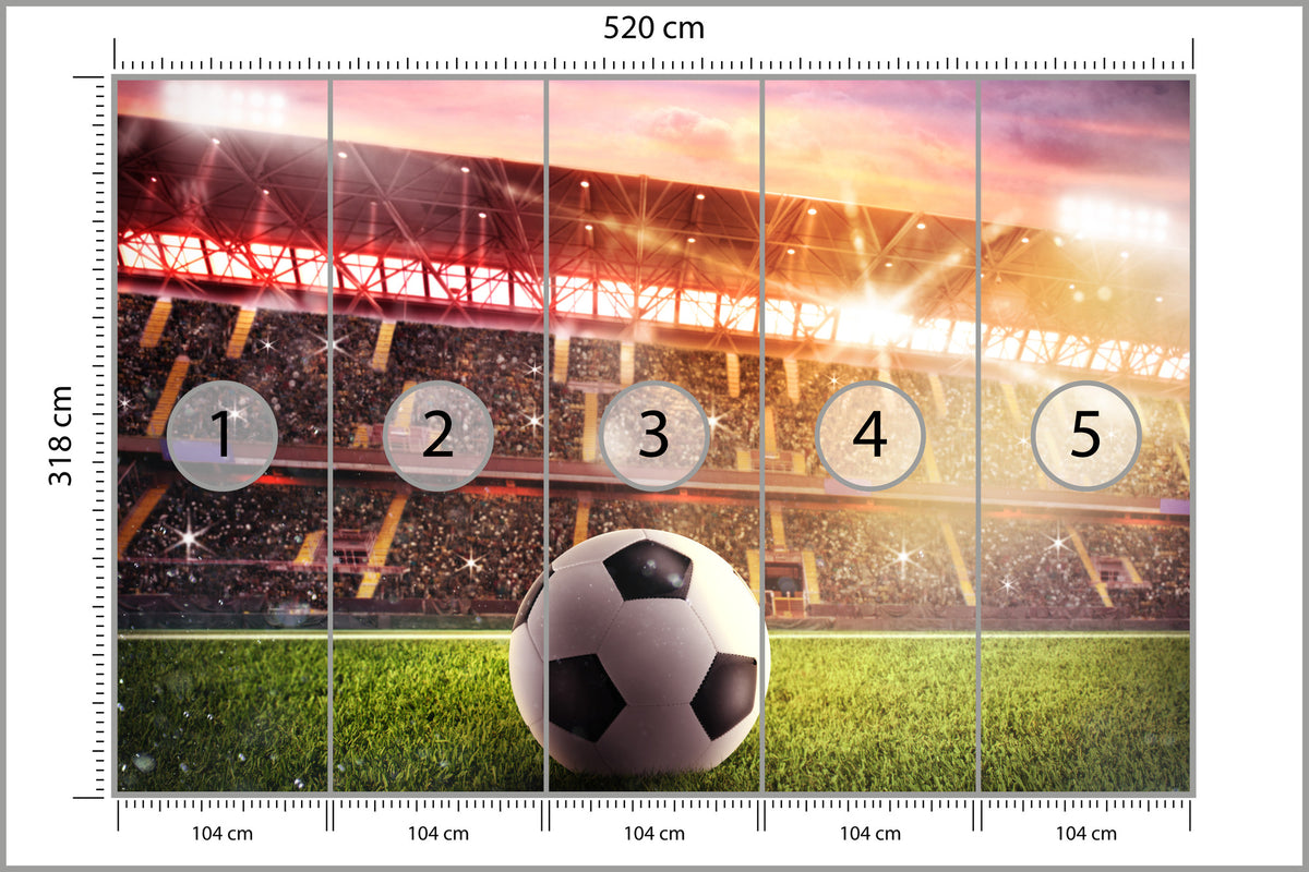 Fototapeta Piłka Nożna Na Stadionie 520 × 318 cm – podgląd kadru