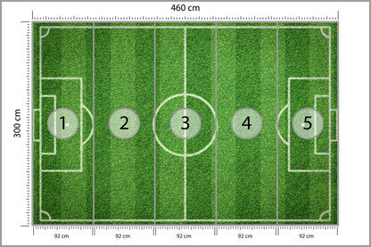 Fototapeta Stadion Z Lotu Ptaka 460 × 300 cm – podgląd kadru