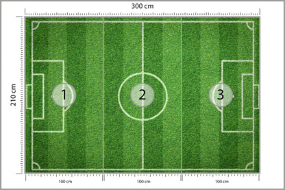 Fototapeta Stadion Z Lotu Ptaka 300 × 210 cm – podgląd kadru