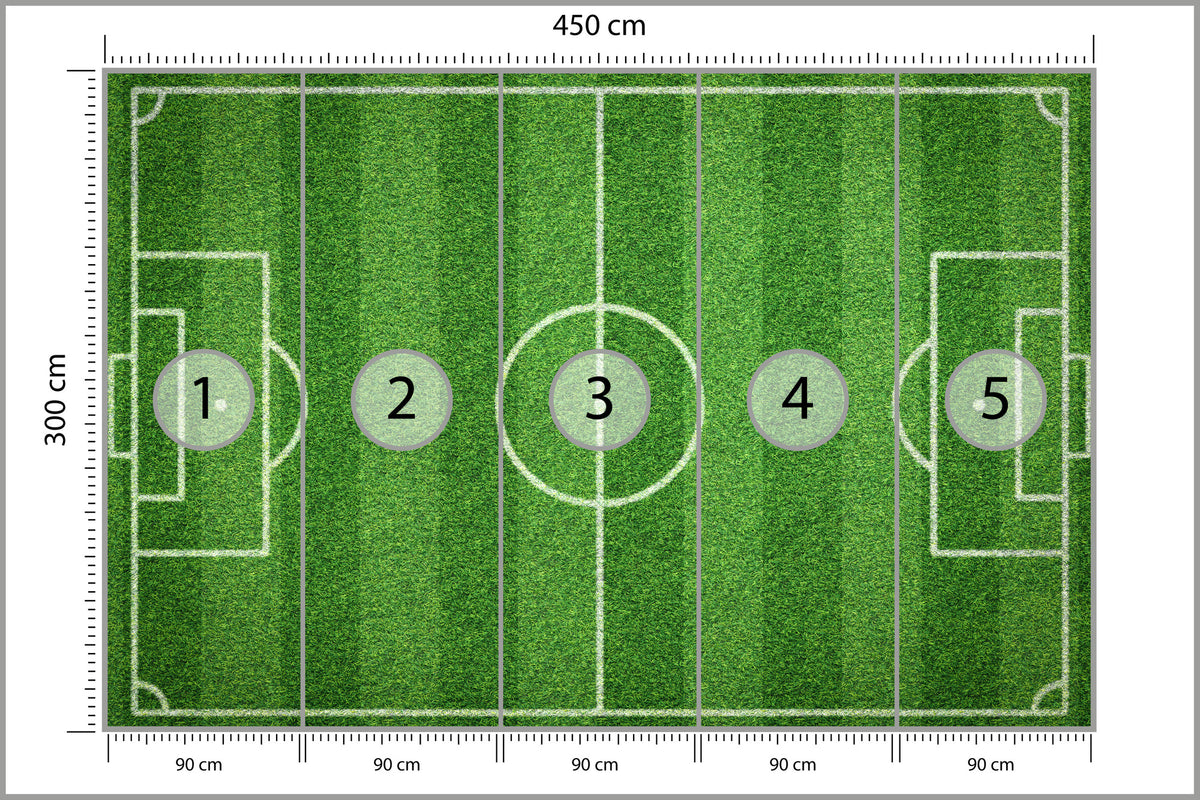 Fototapeta Stadion Z Lotu Ptaka 450 × 300 cm – podgląd kadru