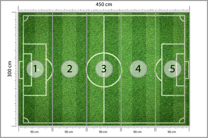 Fototapeta Stadion Z Lotu Ptaka 450 × 300 cm – podgląd kadru