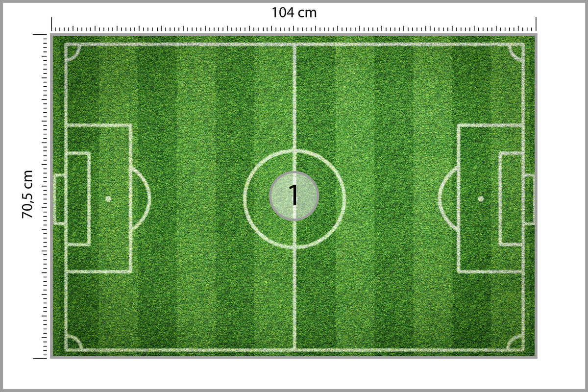 Fototapeta Stadion Z Lotu Ptaka 104 × 70,5 cm – podgląd kadru