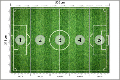 Fototapeta Stadion Z Lotu Ptaka 520 × 318 cm – podgląd kadru