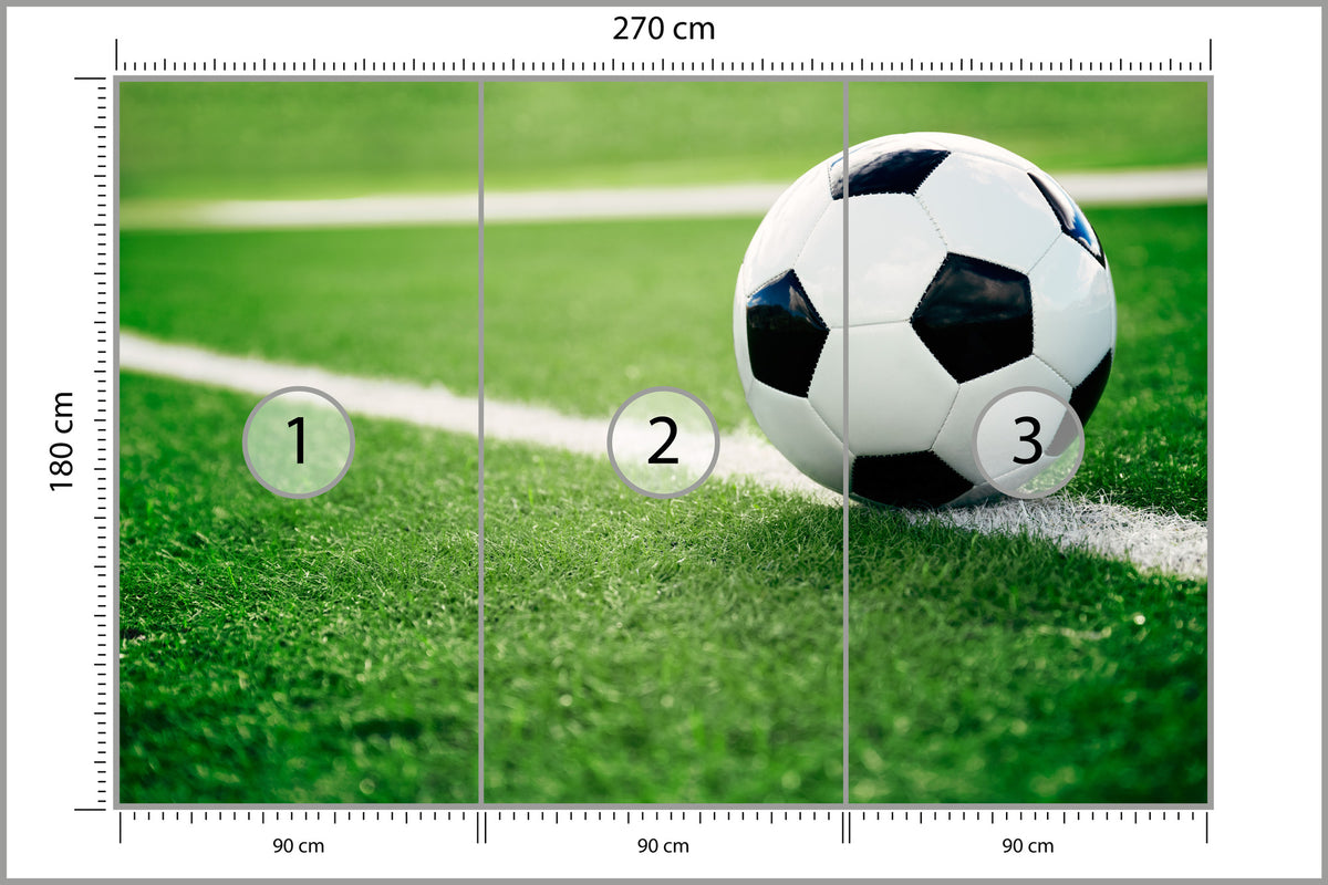 Fototapeta Piłka Nożna Na Linii 270 × 180 cm – podgląd kadru