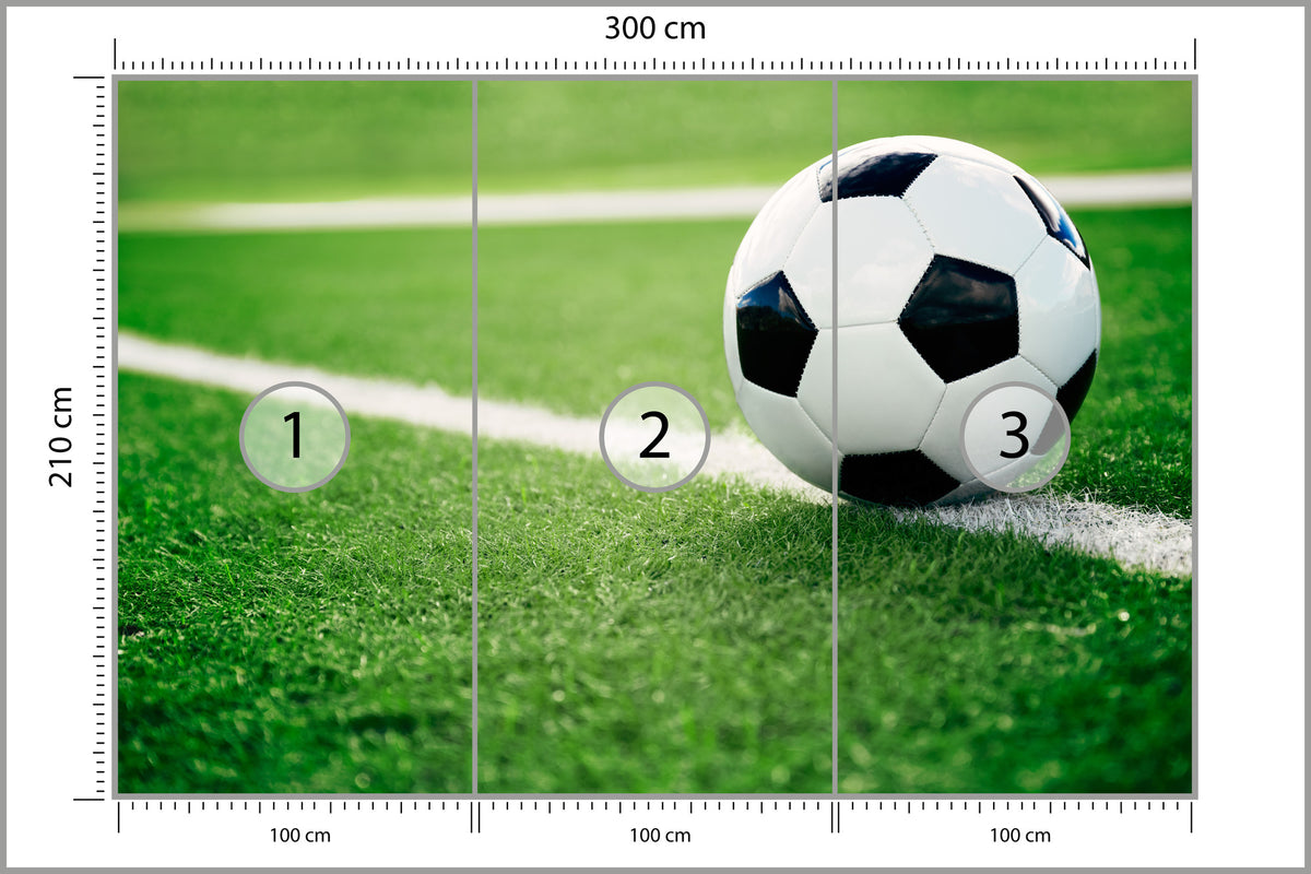 Fototapeta Piłka Nożna Na Linii 300 × 210 cm – podgląd kadru