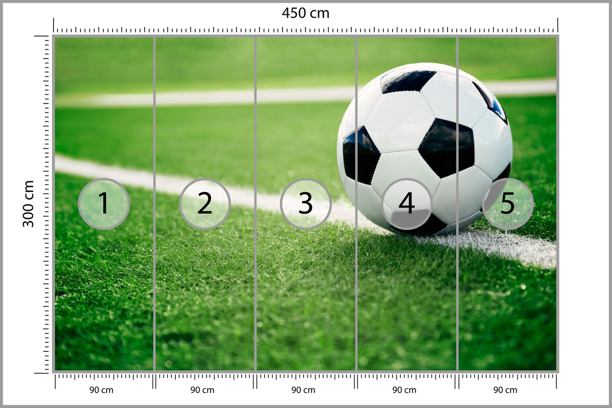Fototapeta Piłka Nożna Na Linii 450 × 300 cm – podgląd kadru
