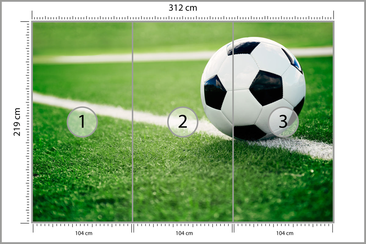 Fototapeta Piłka Nożna Na Linii 312 × 219 cm – podgląd kadru