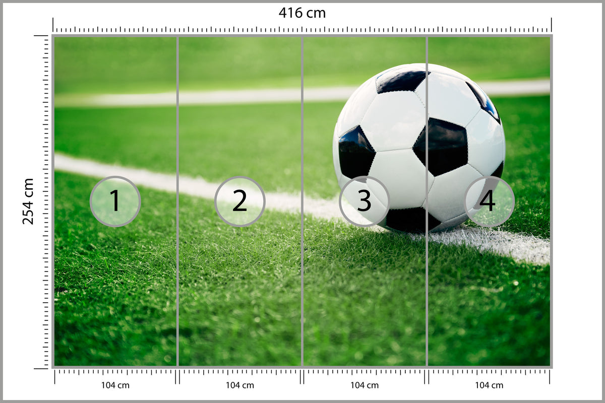 Fototapeta Piłka Nożna Na Linii 416 × 254 cm – podgląd kadru