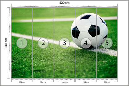Fototapeta Piłka Nożna Na Linii 520 × 318 cm – podgląd kadru