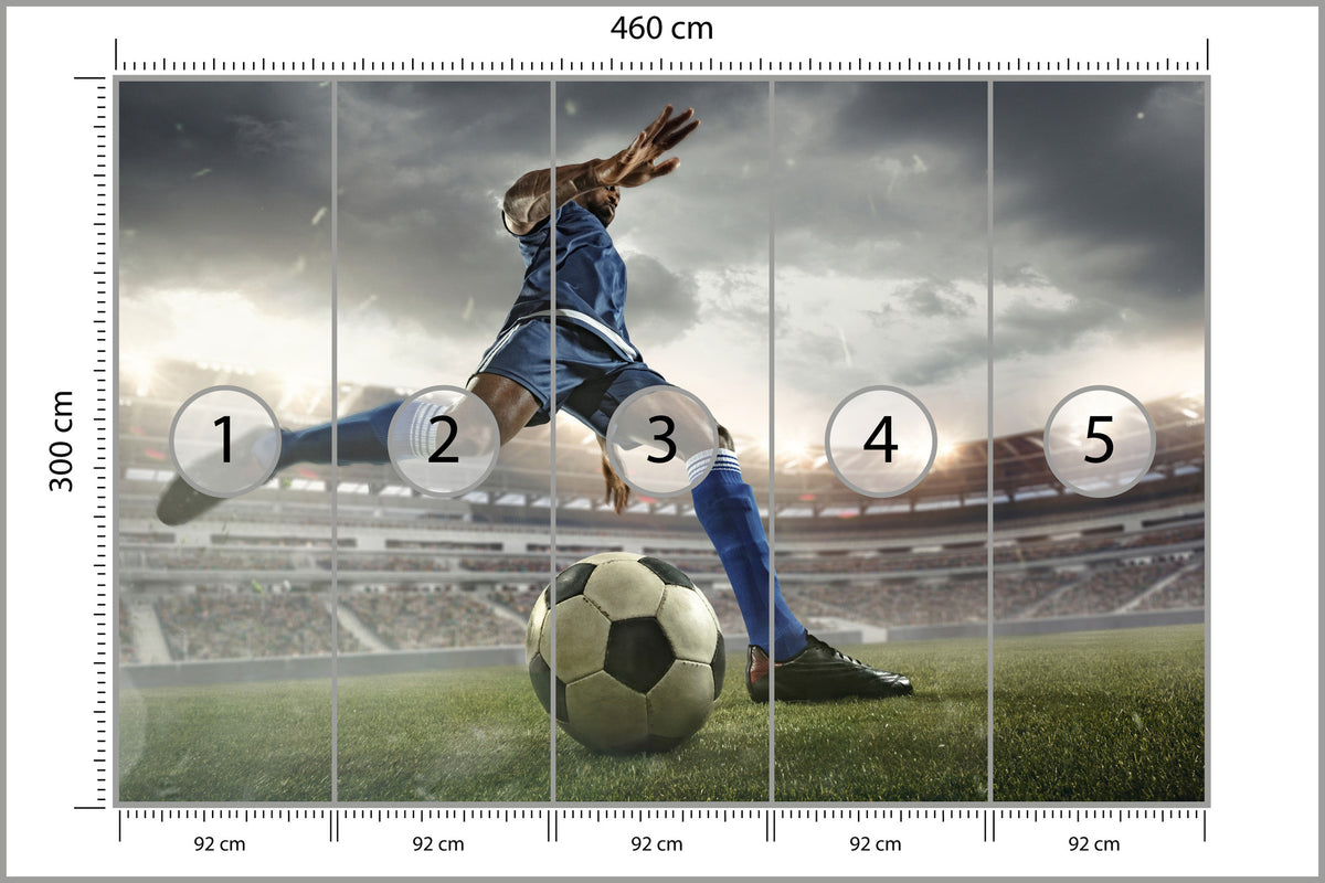 Fototapeta Piłkarz Na Boisku 460 × 300 cm – podgląd kadru