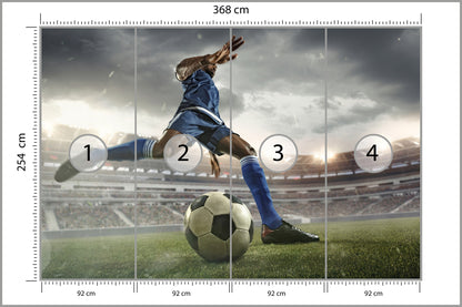 Fototapeta Piłkarz Na Boisku 368 × 254 cm – podgląd kadru