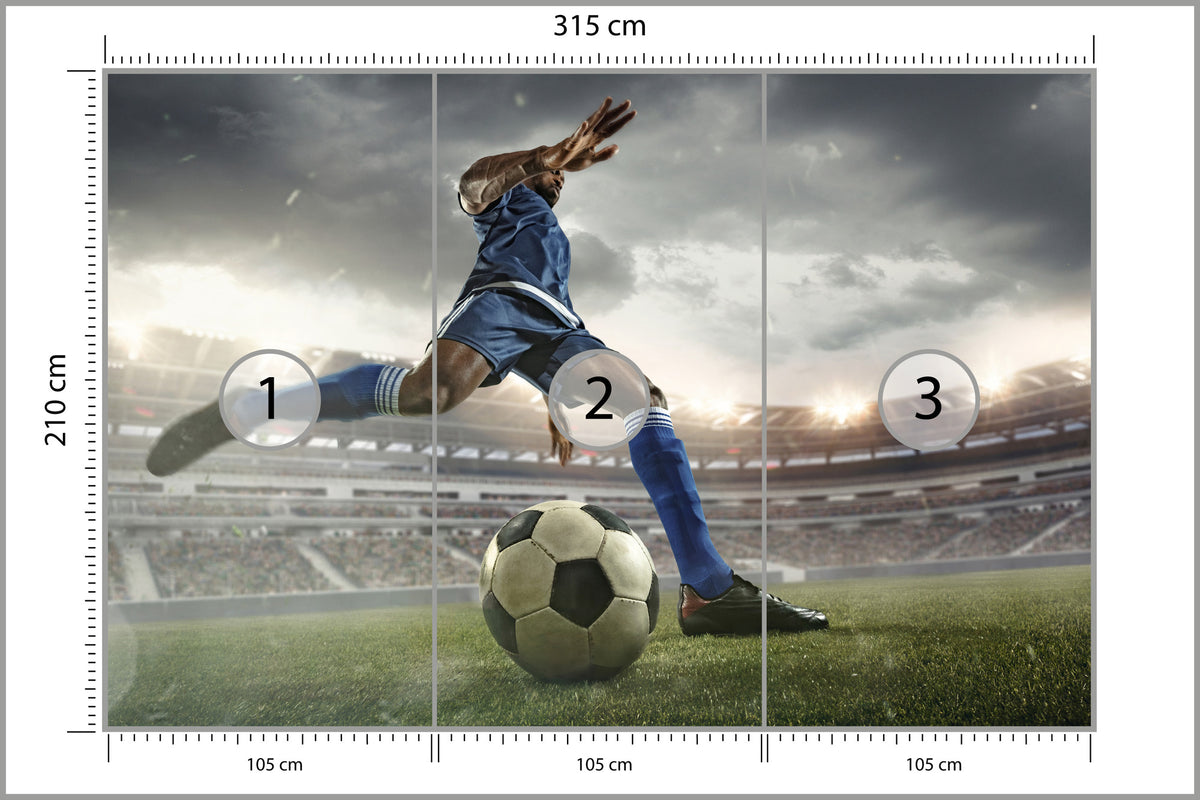 Fototapeta Piłkarz Na Boisku 315 × 210 cm – podgląd kadru