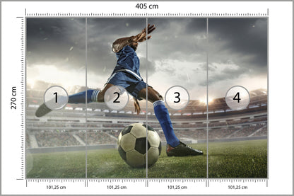 Fototapeta Piłkarz Na Boisku 405 × 270 cm – podgląd kadru