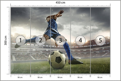 Fototapeta Piłkarz Na Boisku 450 × 300 cm – podgląd kadru