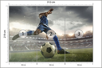 Fototapeta Piłkarz Na Boisku 312 × 219 cm – podgląd kadru