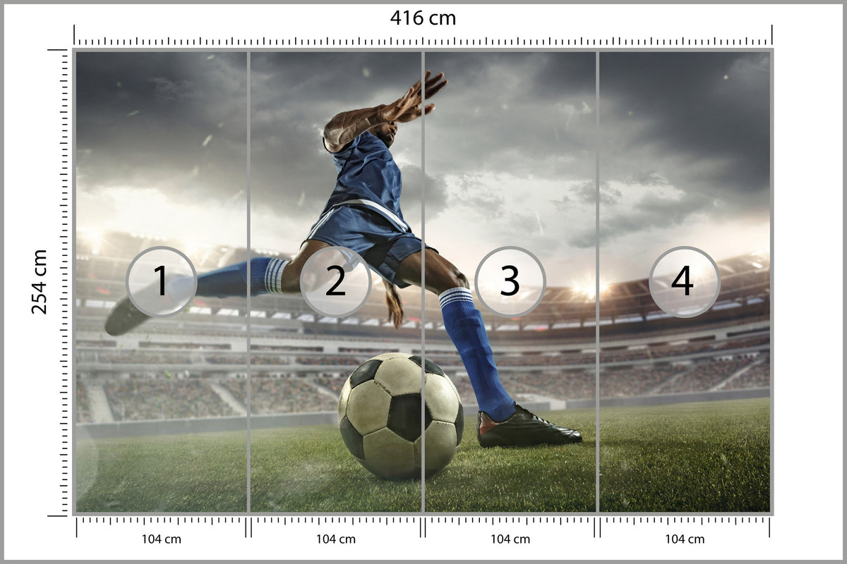 Fototapeta Piłkarz Na Boisku 416 × 254 cm – podgląd kadru