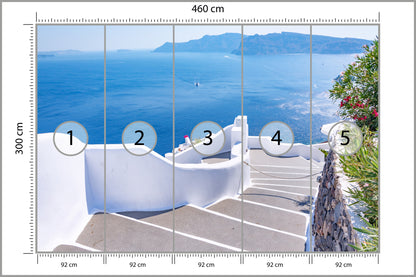 Fototapeta Greckie Schody Na Plażę 460 × 300 cm – podgląd kadru