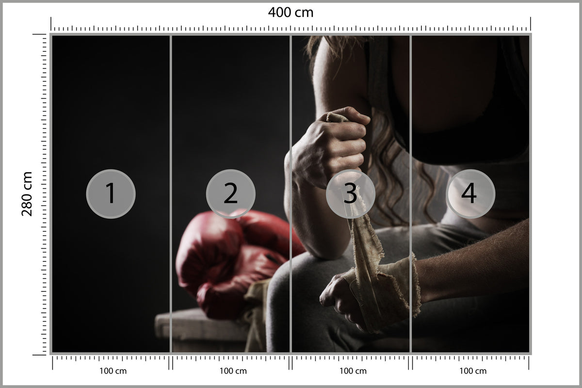 Fototapeta Bokser Przed Walką 400 × 280 cm – podgląd kadru