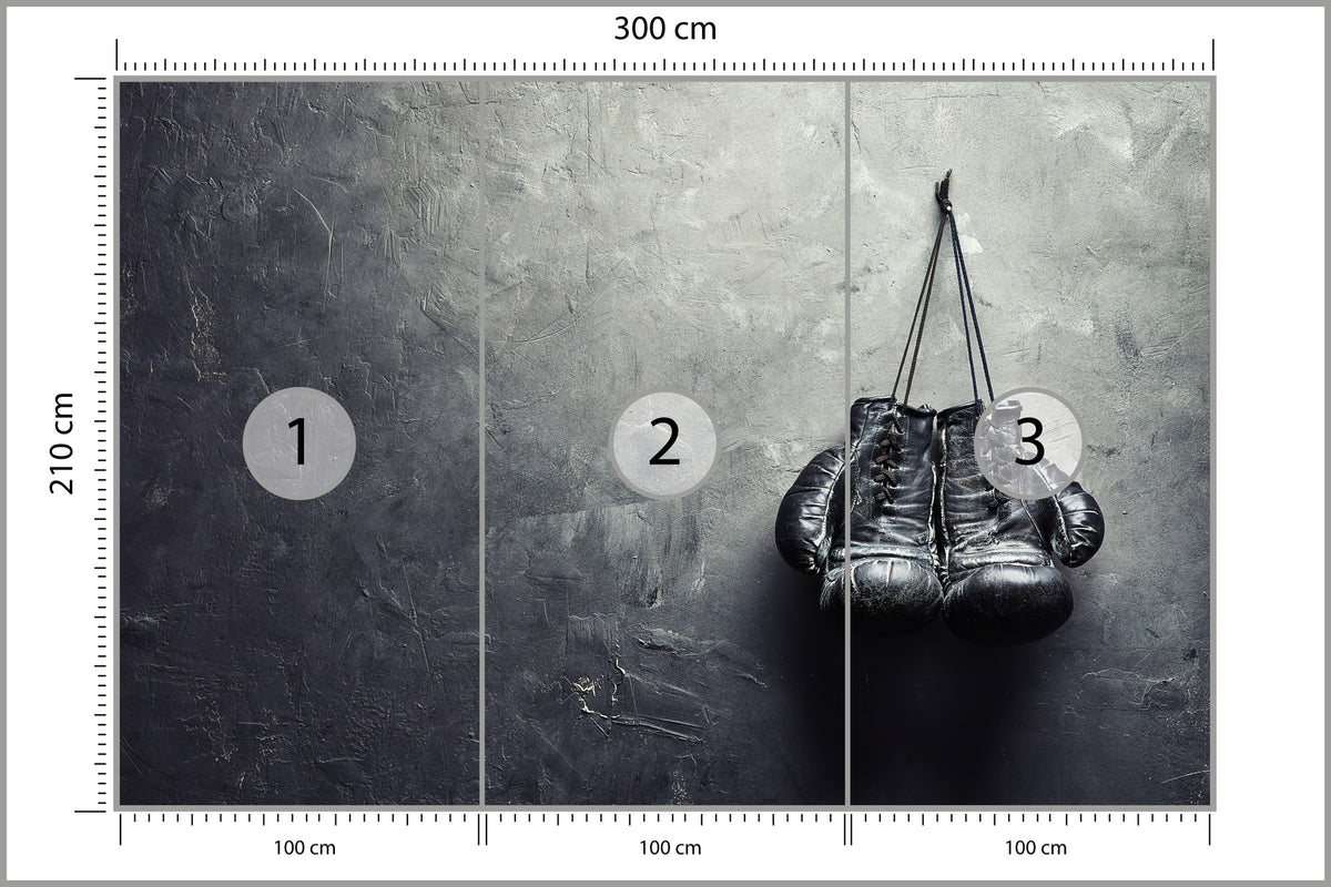 Fototapeta Stare Rękawice Bokserskie 300 × 210 cm – podgląd kadru