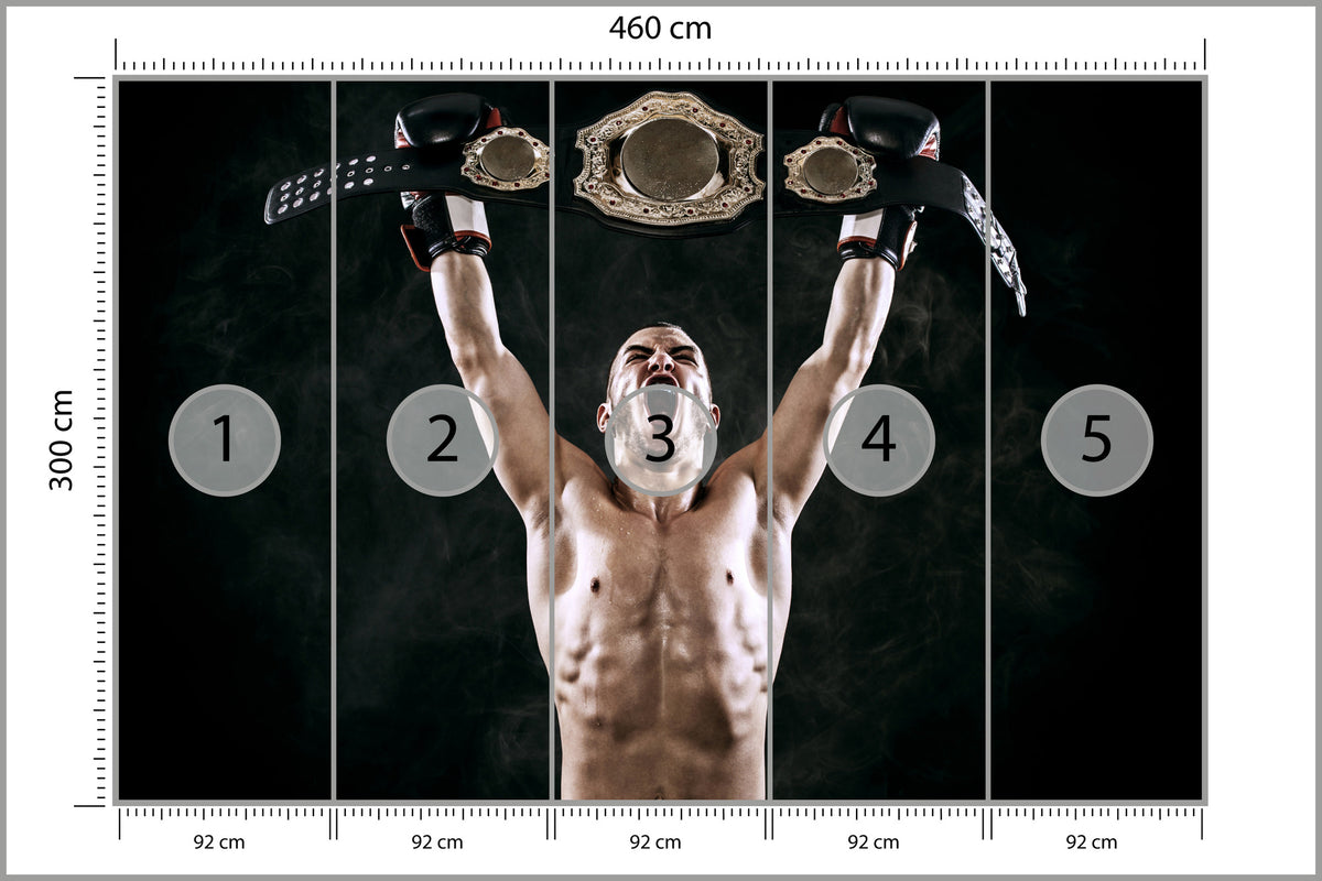 Fototapeta Zwycięski Bokser 460 × 300 cm – podgląd kadru