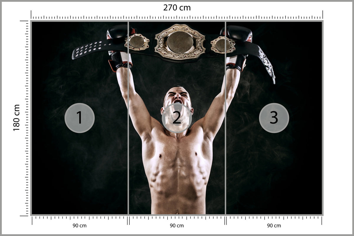 Fototapeta Zwycięski Bokser 270 × 180 cm – podgląd kadru
