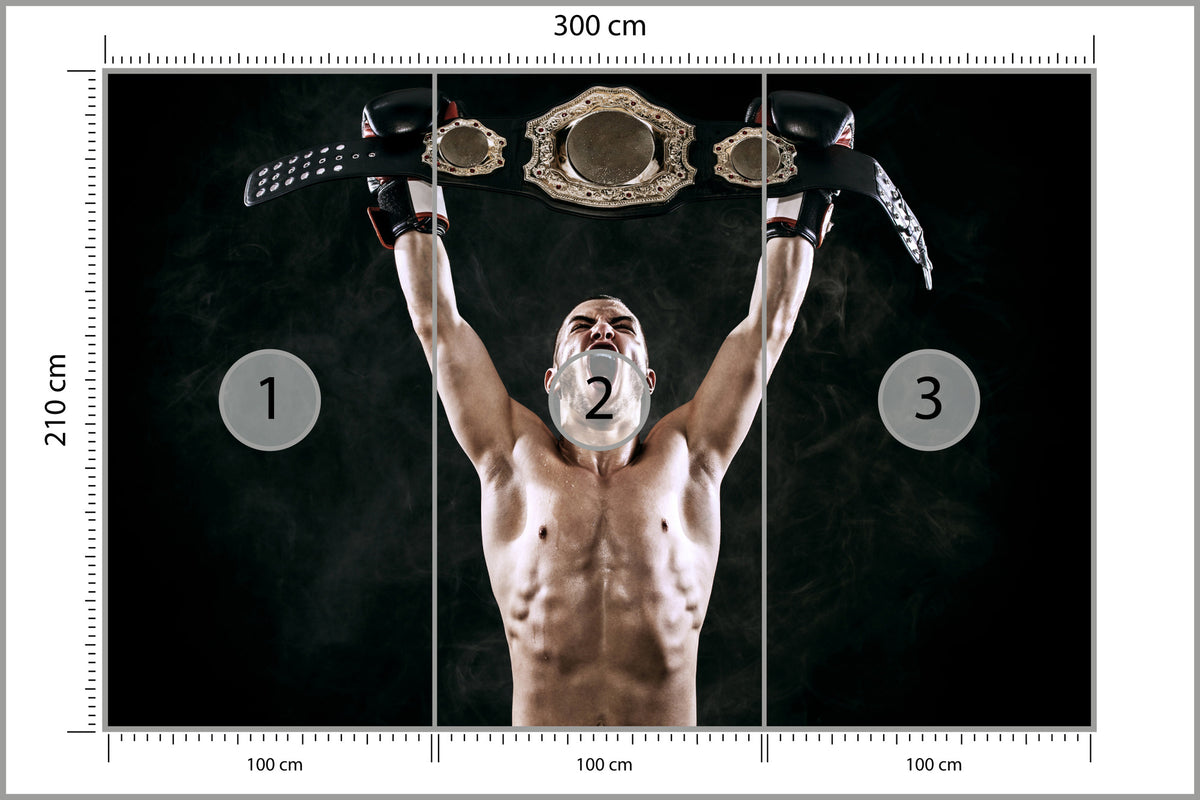 Fototapeta Zwycięski Bokser 300 × 210 cm – podgląd kadru