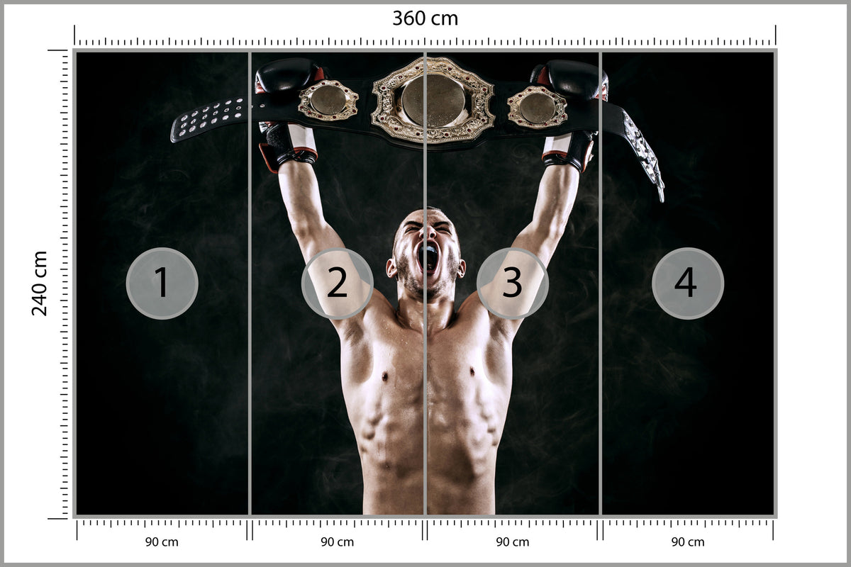 Fototapeta Zwycięski Bokser 360 × 240 cm – podgląd kadru