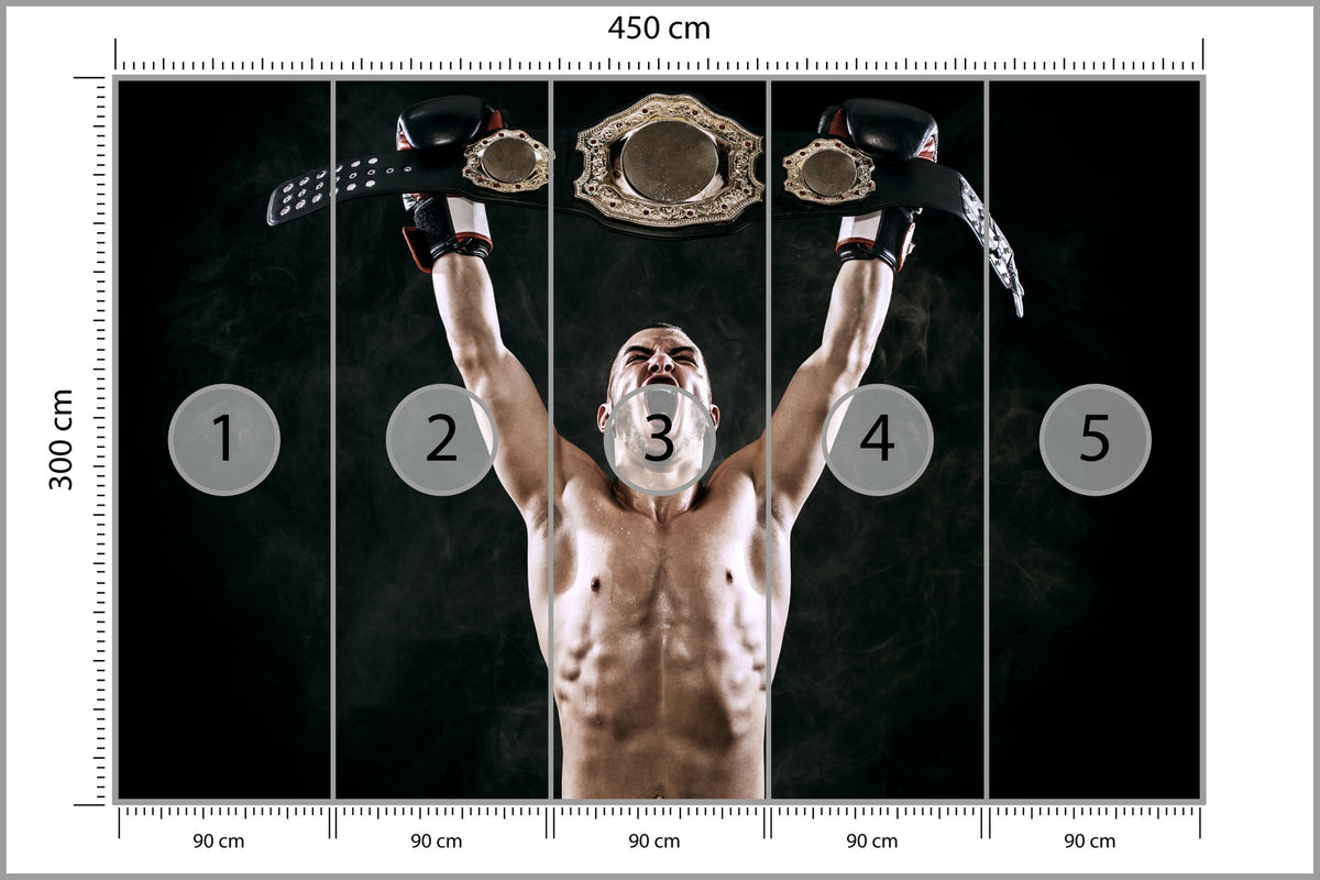 Fototapeta Zwycięski Bokser 450 × 300 cm – podgląd kadru