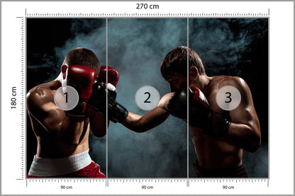Fototapeta Mecz Bokserski 270 × 180 cm – podgląd kadru