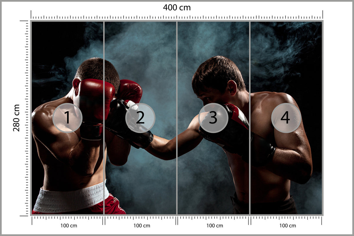 Fototapeta Mecz Bokserski 400 × 280 cm – podgląd kadru