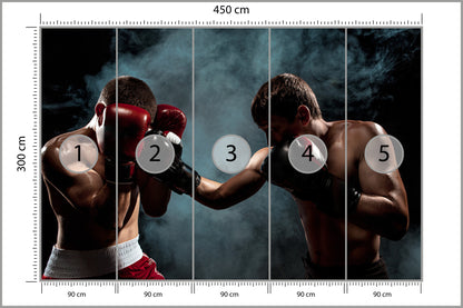 Fototapeta Mecz Bokserski 450 × 300 cm – podgląd kadru