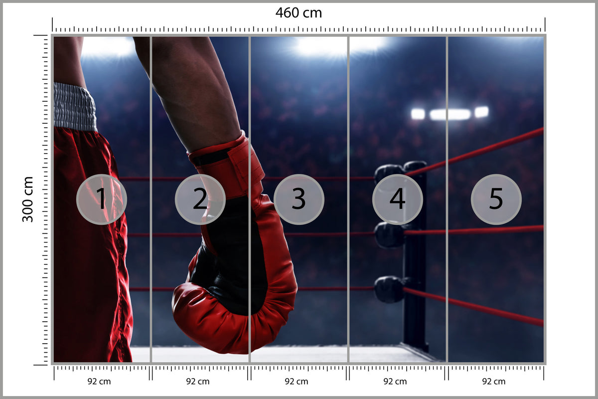Fototapeta Bokser W Ringu 460 × 300 cm – podgląd kadru