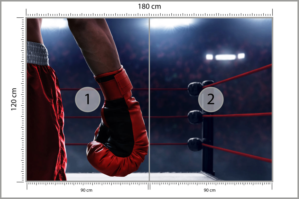 Fototapeta Bokser W Ringu 180 × 120 cm – podgląd kadru