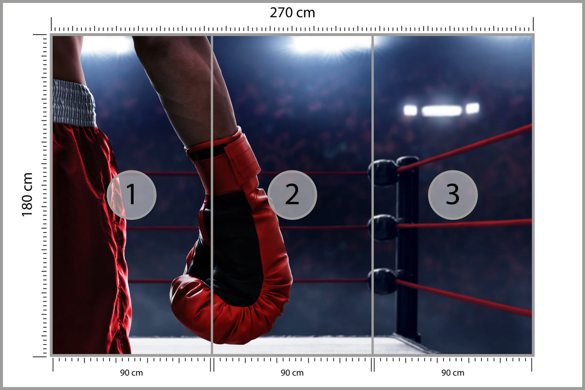 Fototapeta Bokser W Ringu 270 × 180 cm – podgląd kadru