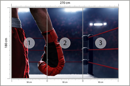 Fototapeta Bokser W Ringu 270 × 180 cm – podgląd kadru