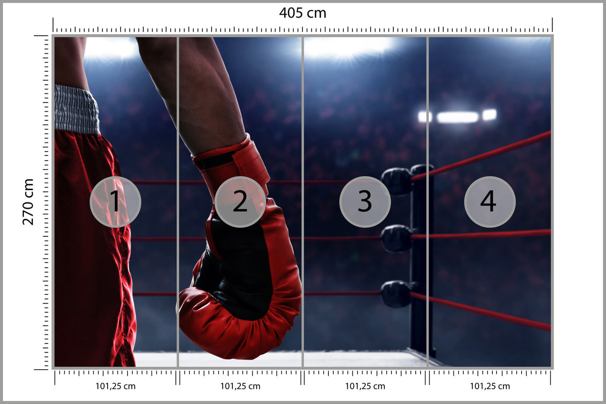 Fototapeta Bokser W Ringu 405 × 270 cm – podgląd kadru