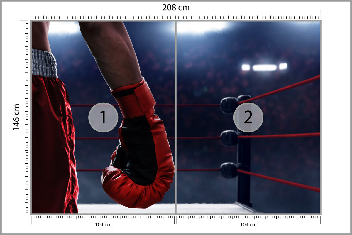 Fototapeta Bokser W Ringu 208 × 146 cm – podgląd kadru