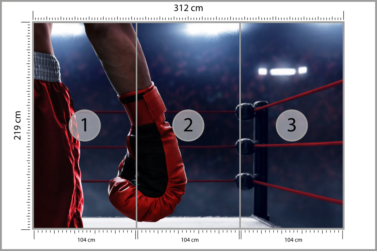 Fototapeta Bokser W Ringu 312 × 219 cm – podgląd kadru