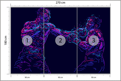 Fototapeta Abstrakcyjny Bokser 270 × 180 cm – podgląd kadru