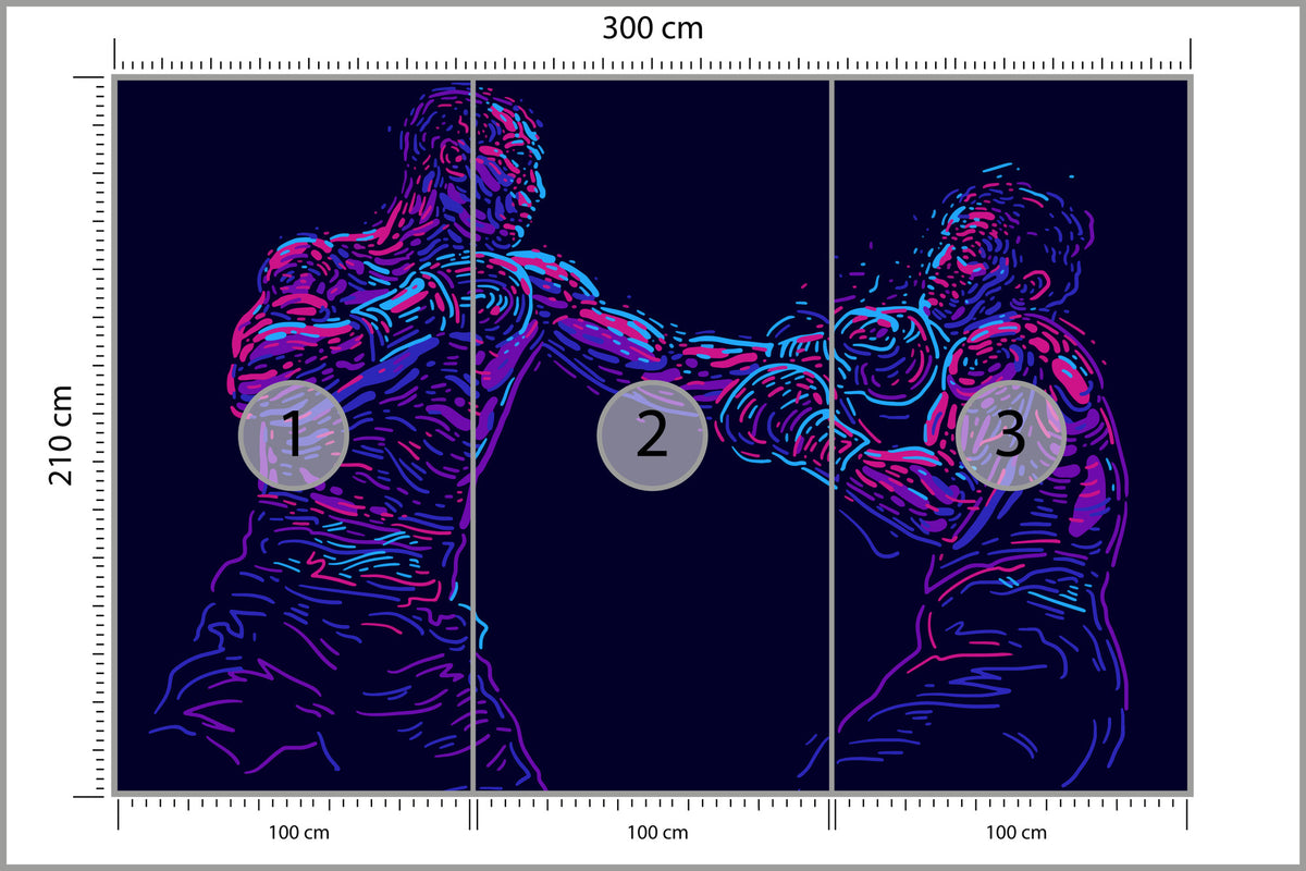Fototapeta Abstrakcyjny Bokser 300 × 210 cm – podgląd kadru