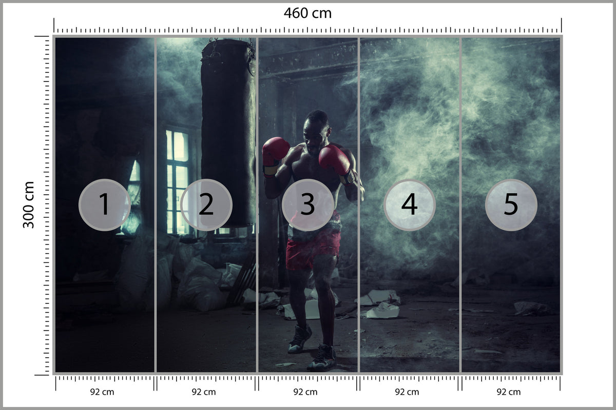 Fototapeta Bokser W Zadymionym Pomieszczeniu 460 × 300 cm – podgląd kadru
