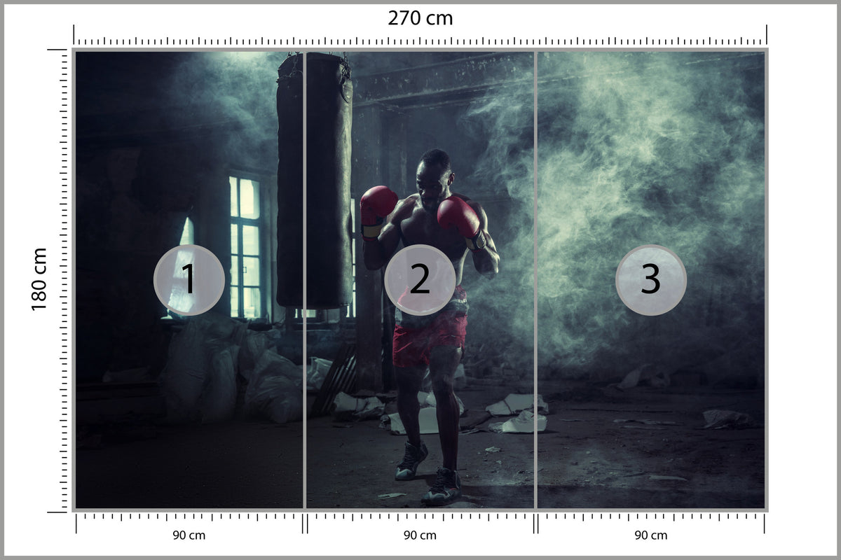 Fototapeta Bokser W Zadymionym Pomieszczeniu 270 × 180 cm – podgląd kadru