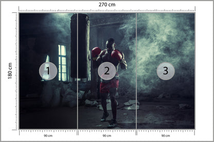 Fototapeta Bokser W Zadymionym Pomieszczeniu 270 × 180 cm – podgląd kadru