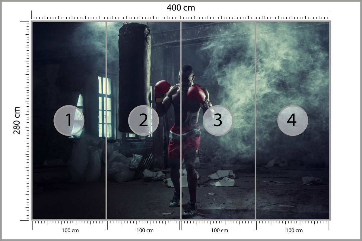 Fototapeta Bokser W Zadymionym Pomieszczeniu 400 × 280 cm – podgląd kadru