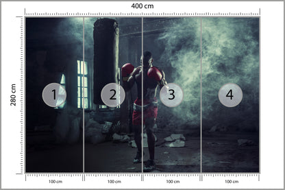 Fototapeta Bokser W Zadymionym Pomieszczeniu 400 × 280 cm – podgląd kadru