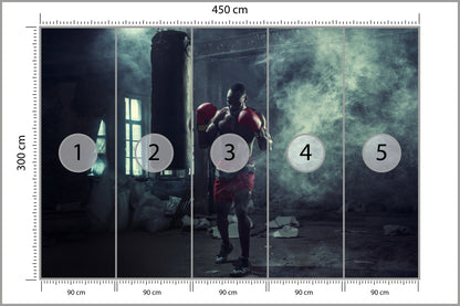Fototapeta Bokser W Zadymionym Pomieszczeniu 450 × 300 cm – podgląd kadru