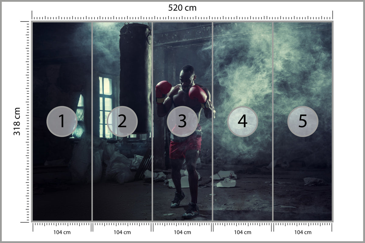 Fototapeta Bokser W Zadymionym Pomieszczeniu 520 × 318 cm – podgląd kadru