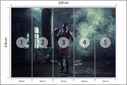 Fototapeta Bokser W Zadymionym Pomieszczeniu 520 × 318 cm – podgląd kadru