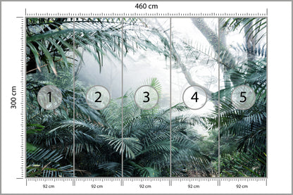 Fototapeta Las We Mgle Tropikalna Dżungla 460 × 300 cm – podgląd kadru