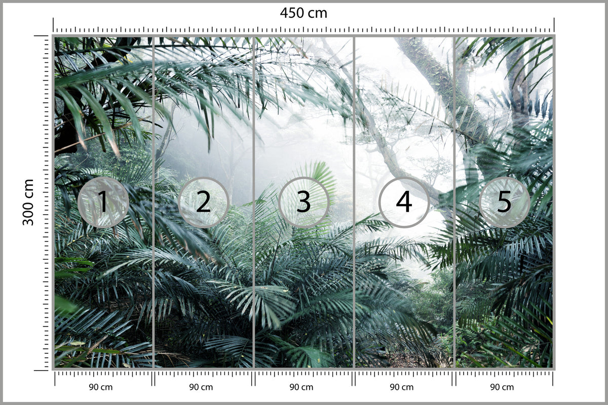 Fototapeta Las We Mgle Tropikalna Dżungla 450 × 300 cm – podgląd kadru